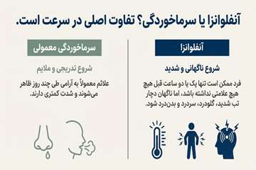info (53)